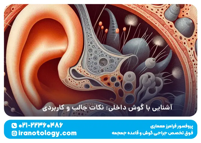 آشنایی با گوش داخلی