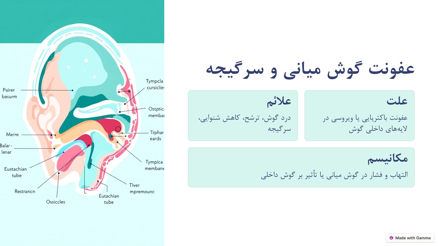 عفونت گوش و سرگیجه