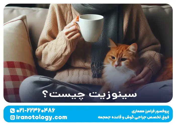 سینوزیت چیست؟