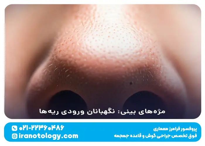 مژه_های بینی_ نگهبانان ورودی ریه_ها