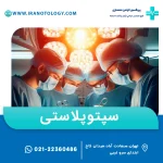 سپتوپلاستی چیست؟