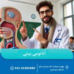 آناتومی بینی