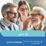 پل بینی